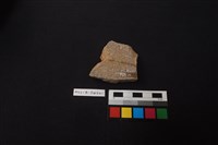 陶缸藏品圖，第2張