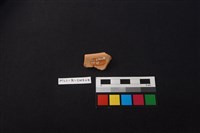 硬陶片藏品圖，第2張