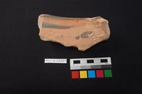 陶缸藏品圖，第2張