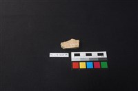 硬陶片藏品圖，第2張