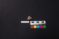 硬陶片藏品圖，第2張