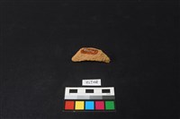 陶片藏品圖，第2張