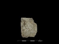 磨製斧鋤形器藏品圖，第2張