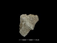 石片藏品圖，第1張