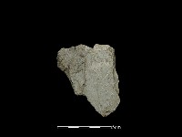 石片藏品圖，第2張