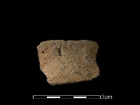 陶片藏品圖，第2張