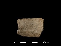 陶片藏品圖，第1張