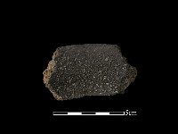 陶片藏品圖，第2張