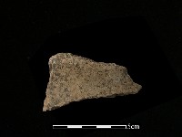 陶片藏品圖，第2張