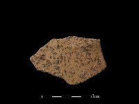 陶片藏品圖，第1張