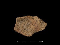 陶片藏品圖，第2張