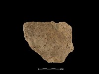 陶片藏品圖，第1張