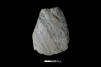 磨製斧鋤形器藏品圖，第1張