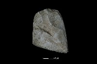 斧鋤形器藏品圖，第2張