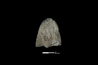 斧鋤形器藏品圖，第2張