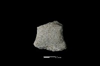 斧鋤形器藏品圖，第2張