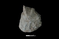 斧鋤形器藏品圖，第2張