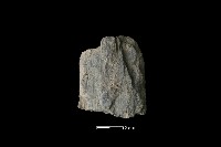 斧鋤形器藏品圖，第2張