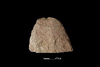 斧鋤形器藏品圖，第2張