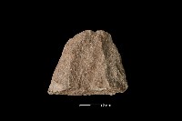 斧鋤形器藏品圖，第1張