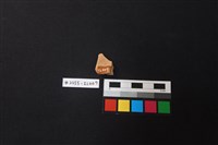 陶片藏品圖，第2張