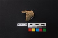 陶片藏品圖，第2張