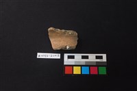 陶片藏品圖，第1張