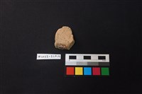 陶片藏品圖，第2張