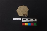 陶片藏品圖，第2張