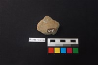 陶片藏品圖，第2張