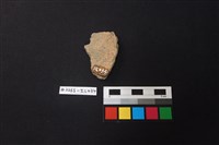 陶片藏品圖，第2張