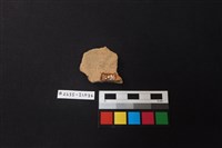 陶片藏品圖，第2張