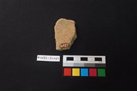 陶片藏品圖，第2張