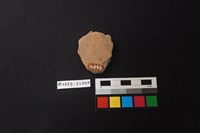 陶片藏品圖，第2張