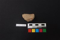 陶片藏品圖，第2張