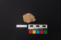 陶片藏品圖，第2張