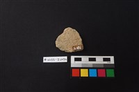 陶片藏品圖，第2張