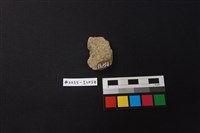 陶片藏品圖，第2張