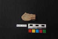 陶片藏品圖，第2張