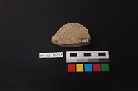 陶片藏品圖，第2張