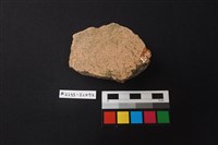 陶片藏品圖，第2張