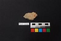 陶片藏品圖，第2張