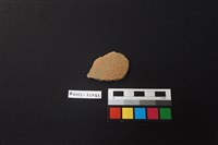 陶片藏品圖，第1張