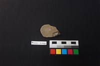 陶片藏品圖，第2張