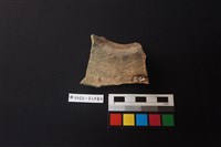 陶片藏品圖，第2張