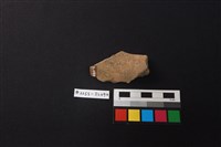 陶片藏品圖，第2張