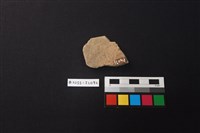 陶片藏品圖，第2張