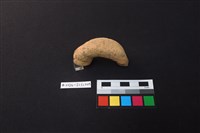 陶片藏品圖，第2張