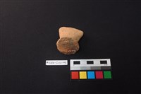 陶片藏品圖，第2張