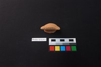 陶片藏品圖，第1張